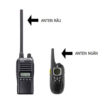 anten râu và anten ngắn 